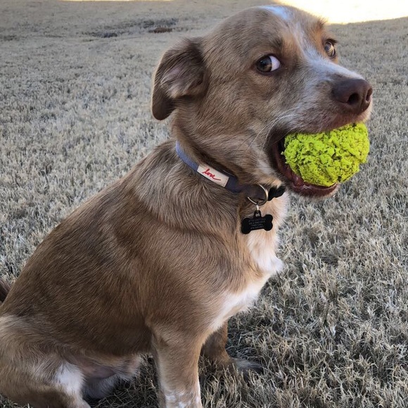 Meet your Posher, Jessica - Picture 3 of 7